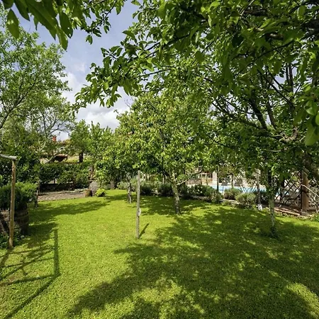 Zatka In Zatka Cepic - Haus Fuer 6 Personen Villa Krsan
